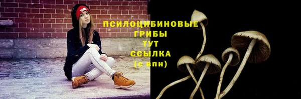 мдпв Покров