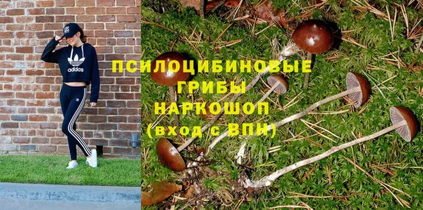 мдпв Покров