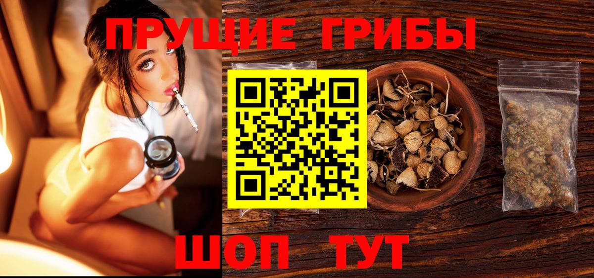 где можно купить   Вход с VPN  Губкинский  Галлюциногенные грибы мухоморы 